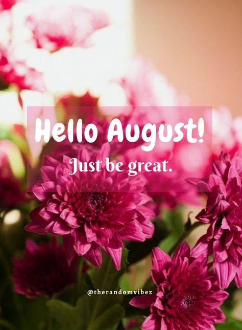 Hello, August! Just be great. #Happyaugustquotes #Augustquotes #2021Augustquotes #August2021quotes #Augustmonthquotes #Helloaugustgreetings #Augustwishesandquotes #Happymonthquotes #Augustimages #Newbeginningquotes #Newmonthquotes #Chapter8of12quotes #Funnyaugustquotes #Augustpicturequotes #Augustpics #Byebyejuly #Goodbyejulyquotes #Welcomeaugustquote #Helloaugustwishesforfriends #Beautifulaugustquotes #Augustcaptions #Instaquotes #Helloaugustwallpaper #Quotes #Quotesandsayings #therandomvibez Hello August Quotes, August New Month, Hello August Images, August Images, New Month Quotes, Welcome August, August Quotes, Quotes And Pictures, Month Quotes