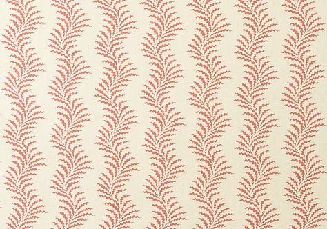 Scrolling Fern Silhouette - Sorolla Red - Mutka Silk - Soane Britain Fern Silhouette, Soane Britain, Fern Frond, One Color, All Design, Fern, Colorful Prints, Print Patterns, Wallpapers