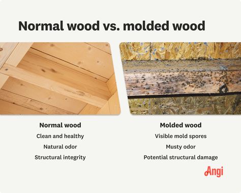 How to Remove Mold From Wood Furniture Remove Mold From Wood, How To Remove Mold, Remove Mold, Mold Remediation, Mold Growth, Mold Remover, Solid Wood Furniture, House Cleaning Tips, Red Cedar