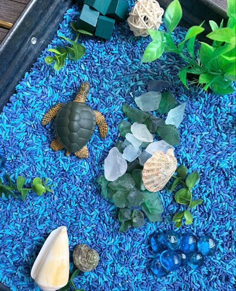 Turtle Sensory Bin, Diy Sensory Board, Jungle Theme Classroom, Sensory Kits, Diy Sensory, Early Childhood Learning, Sensory Board, Playbased Learning, Tuff Tray