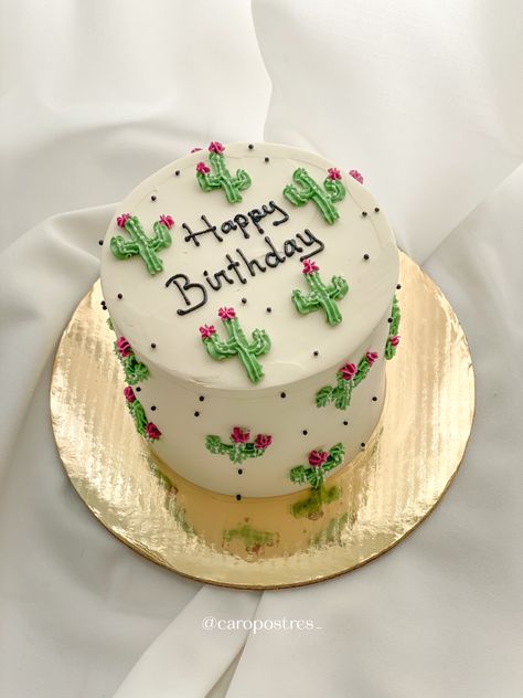 Pastel de cumpleaños con cactus para celebrar el cumpleaños en dónde el mar y el desierto se unen 🌊🏜️ Sonora ❤️‍🔥 Birthday Cake Mexican Theme, Easy Cactus Cake, Simple Western Birthday Cake, Mexican Bday Cake, Simple Fiesta Cake, Mexico Cake Ideas, Desert Birthday Party Theme, Cactus Cakes Birthday, Cactus Cookie Cake