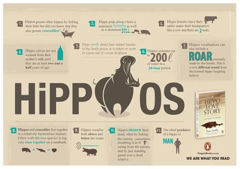 Weird and wonderful facts about hippos. Hippo Facts, Animal Information, Animals Information, Mother Milk, Crocodiles, Hippopotamus, Weaning, Weird And Wonderful, Facts About