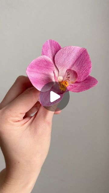 Indira Sanchez | Paper Artist on Instagram: "My two mantras for this 2024 are:  1. Create what you like, not what you think others might like. 2. Stop pressuring yourself so much for the outcome. Enjoy the process.  So I wanted to make orchids! They are blooming in my house, and it was just the spark of inspiration I needed.  May this 2024 be wonderful for everyone; we have to state it!   #yiyagami #paperflowers #paperflorist  #inspiredbynature  #floralinspiration #floralobsessed #paperflowers #crepepaperflowers  #orchids #paperorchids #phalaenopsis" Orchid Crepe Paper Flower, Crepe Paper Orchid, Paper Orchids Diy, Orchid Paper Flower, Paper Orchid, Diy Orchids, Paper Flowers Easy, Beautiful Paper Flowers, Crepe Paper Flowers Diy