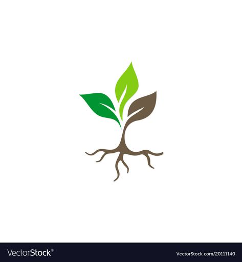 Roots Logo Design Ideas, Plant Logo Ideas, Soil Logo, Plants Logo, Logo Plant, Seed Logo, Roots Logo, Plant Logo, Plant Logos