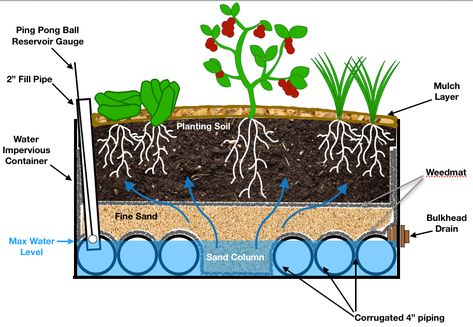 Wicking Garden Bed, Bed Construction, Capillary Action, Growing Vegetables In Pots, Garden Raised Beds, Aquaponic Gardening, Worm Composting, Compost Tea, Vegetable Garden Diy