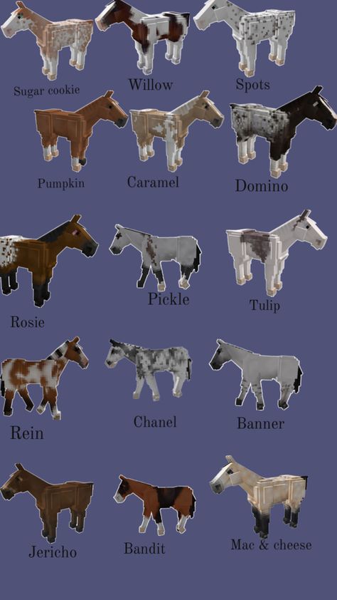 Minecraft Horse Stables, Minecraft Horse, Unusual Horse, Horse Art Drawing, Horse Coat Colors, Drawing Stars, Pony Breeds, Horse Games, Cool Minecraft Creations