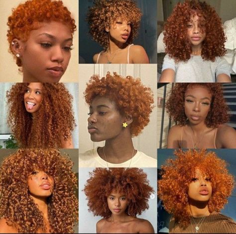 Afro Hair Dye, Dyed Curly Hair, Red Curly Hair, Ginger Hair Color, Dyed Hair Inspiration, Colored Curly Hair, Pelo Afro, Dyed Natural Hair, Natural Curls Hairstyles