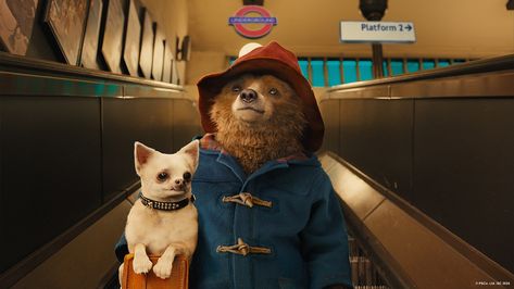 Ten whole years of Paddington ❤️ Classic Family Movies, Netflix Movies For Kids, Oso Paddington, Monsoon Wedding, Montgomery Clift, Julia Louis Dreyfus, Kids' Movies, Paddington Bear, London Tours