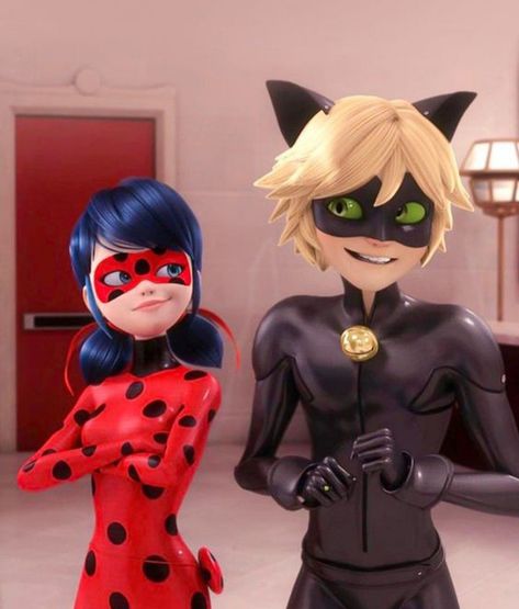 Catnoir And Ladybug, Adrian And Marinette, Complicated Love, Marinette And Adrien, Miraculous Characters, Miraculous Ladybug Movie, Miraculous Ladybug Fan Art, Miraculous Ladybug Funny, Miraculous Ladybug Anime