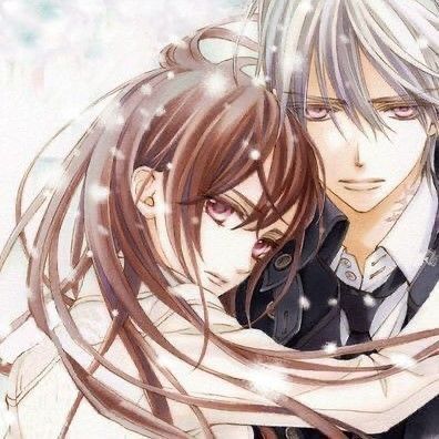 Anime Vampire Knight, Vampire Knight, Matching Icons, Hair, Anime