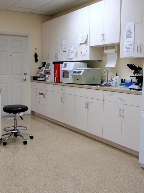 Our in-house lab station. Pathology Lab Interior Design, Veterinary Organization, Veterinary Laboratory, Lab Organization, Vet Surgery, Makerspace Design, Vet Hospital, Medical Office Decor, Pathology Lab