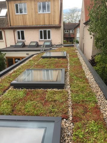 Modular Green Roof installed over FLL approved Rhenafol Single ply membrane. Job in Cambridge. Green Roof Design, Brown Roofs, Green Roof Garden, Warm Roof, Sedum Roof, Flat Roof Extension, Green Roof System, Membrane Roof, Green Roofs