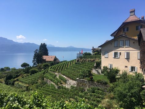 Epesses, Lavaux, Switzerland Lavaux Switzerland, Switzerland, Natural Landmarks, Travel, Nature