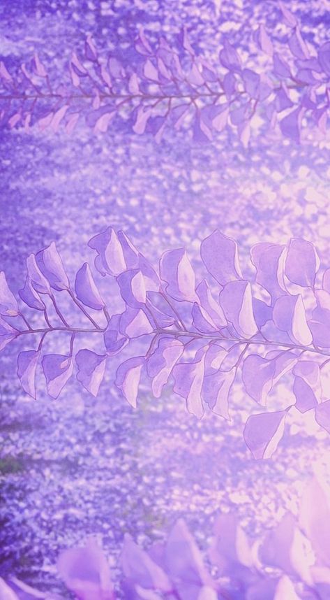 Wisteria Tree Demon Slayer, Wisteria Demon Slayer Wallpaper, Wisteria Aesthetic Wallpaper, Anime Wisteria, Wisteria Wallpaper, Wisteria Color Aesthetic Wallpaper, Wisteria Wallpaper Aesthetic, Wisteria Aesthetic Anime, Wisteria Laptop Wallpaper