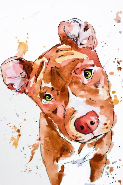 Wild Illustration, Sketch Animals, Watercolor Paintings Of Animals, Pitbull Art, Pet Drawing, Watercolor And Acrylic, Messy Art, Pets Drawing, Procreate Ipad