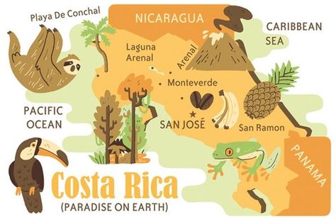 Costa Rica Tea Store Design, Owen Davey, Costa Rica Map, Costa Rica Art, Spanish Posters, Fiesta Tropical, Pictorial Maps, Map Illustration, Costa Rica Vacation