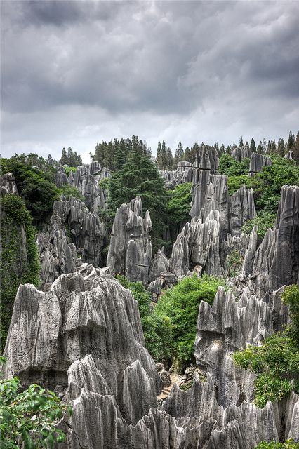 Stone Forest, Kunming, China Stone Forest, Visit China, Kunming, 16 Bit, Beautiful Dream, China Travel, The Landscape, Asia Travel, Places Around The World