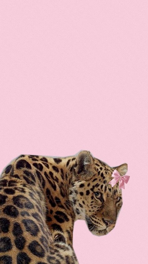 Glamour Wallpaper, Couples Hidden Face Pics, Leopard Print Wallpaper, Pink Wallpaper Ipad, Jaguar Print, Vampire Knight, Hello Kitty Items, Beautiful Flowers Pictures, Funny Profile Pictures