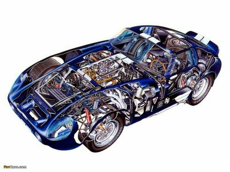 Shelby Daytona Coupe, Cobra Daytona, Shelby Daytona, 1965 Shelby Cobra, Citroën Sm, Daytona Coupe, Ac Cobra, Dodge Viper, Ford Racing