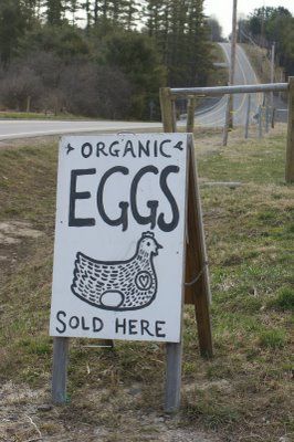 Farm Stand Signs, Standing Signage, Kids Youtube Channel, Chicken Coop Signs, Homemade Signs, Market Stands, Sold Out Sign, Farm Stand, Garden Signs