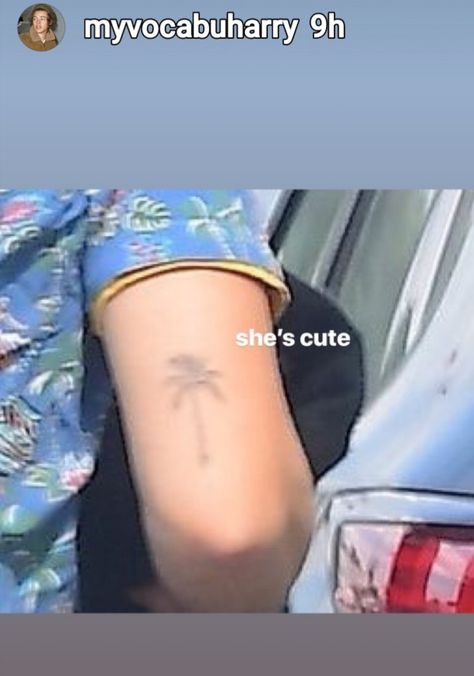 Harry's "palm tree: tattoo just like a sisters Harry Styles Palm Tree Tattoo, Harry Styles Tattoos, Palm Tree Tattoo, Tree Tattoo, Future Tattoos, I Tattoo, Palm Tree, Jesus Fish Tattoo, Harry Styles