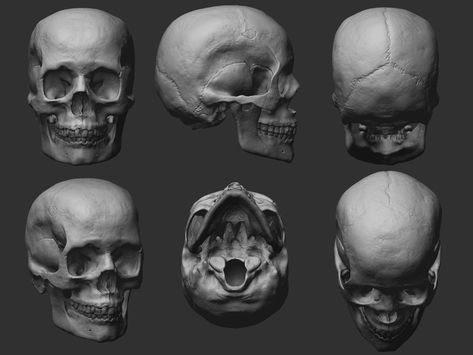 ArtStation - Female Skull - Anatomy study, Iván García