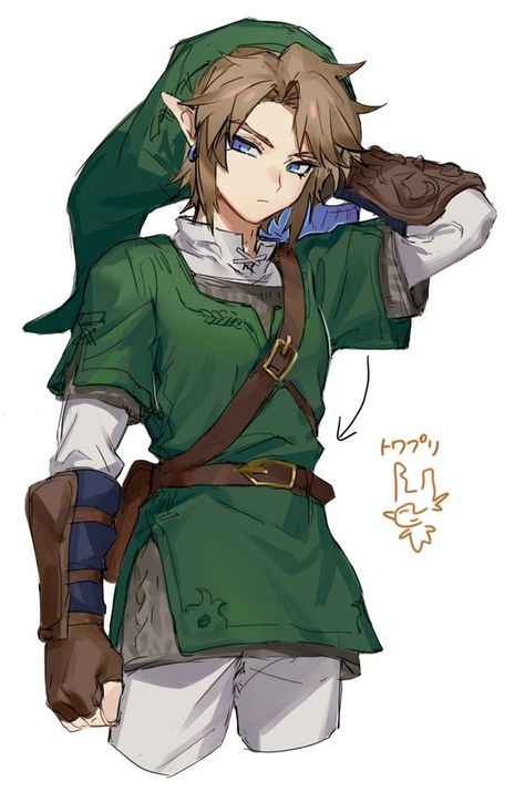 Legend of Zelda art > Link - Hero of Courage | shimetann Link Zelda Art, Link Twilight Princess, Zelda Drawing, Link Cosplay, Legend Of Zelda Memes, Zelda Twilight Princess, Arte 8 Bits, Link Art, Link Zelda