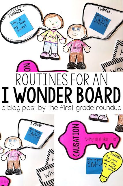 Who We Are Kindergarten Pyp, Pyp Bulletin Board Ideas, Pyp Classroom Setup, Wonder Wall Classroom, First Grade Bulletin Board Ideas, Ib Bulletin Boards, Science Classroom Door, Ib Pyp Classroom, Pyp Classroom