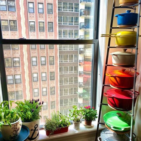 Marc J. Sievers️️ on Instagram: “The sun is out and my little window garden is brimming with fresh herbs, lavender, and miniature roses - happy weekend! 🌿#MJSmoments…” Le Creuset Storage, Window Garden Ideas, Cookware Stand, Bedroom Vision Board, Herb Box, Le Crueset, Herb Garden Markers, Pot Display, Jacqueline Wilson