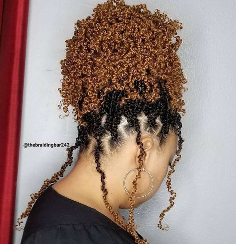 Crochet Hairstyles Braids, Crochet Braids Updo Hairstyles, Braids Updo Hairstyles, Individual Crochet Braids, Short Curly Crochet Hair, Micro Braids Styles, Ocean Wave Crochet Hair, New Braided Hairstyles, Crochet Curls