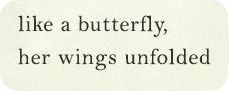 Her Wings Unfolded, Her Poetry Book, Wild Spirit Soft Heart, Her Poetry, Like A Butterfly, Soft Heart, Poetry Book, Wild Spirit, Poetry Books