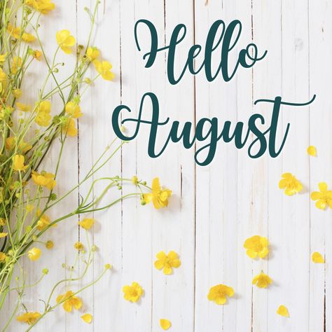 Hello August ✨ What goals are you looking to accomplish this month? Welcome August, Happy August, Hello August, August Month, Enjoy The Sunshine, August 1, New Month, Birthday Month, For Sale Sign