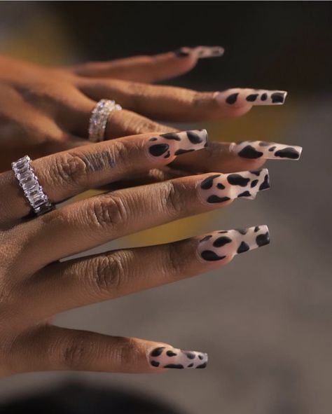 Clear Cow Print Nails, Clear Tip Nails Designs, Black And Clear Nails, Pink Cow Print Nails, Country Acrylic Nails, Clear Nail Designs, Cowboy Nails, Pink Tip Nails, Cheetah Print Nails