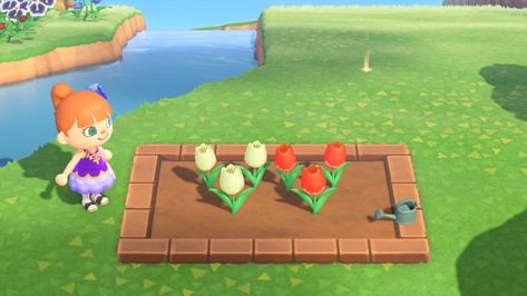 Path Border, Designs For Animal Crossing, Acnl Paths, Brick Border, Tree Borders, Brick Path, Path Ideas, Path Design, Animal Crossing Pocket Camp