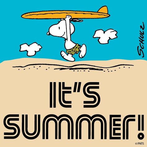 It's summer! Happy Summer Quotes, Snoopy Images, Snoopy Quotes, Snoopy Pictures, Snoop Dog, Joe Cool, 10% Happier, The Peanuts, First Day Of Summer