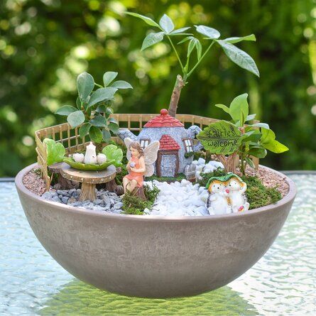 Miniature Garden Design, Pink Kitchen Designs, Fairy Garden Plants, Fairy Garden Kit, Fantasy Garden, Fairy Garden Designs, Garden Kit, Fairy Garden Houses, World Of Fantasy