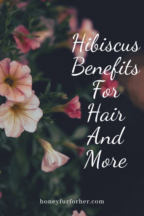 Hibiscus Gudhal Benefits In Ayurveda #herbsforhealth #herbsforhair #naturalsupplements #ayurveda #ayurvedalife #honeyfurforher Hibiscus Uses, Hibiscus Oil, Ingredients Photography, Ayurveda Lifestyle, Herbs For Hair, Ayurveda Life, Natural Skin Care Ingredients, Herbal Skin Care, Nature Goddess