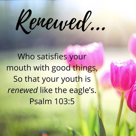 Renew your faith in our risen Lord, and be energized throughout your day today! "Who satisfies your mouth with good things, So that your youth is renewed like the eagle’s." Psalm 103:5 NIV #VerseOfTheDay #renew #restore #LiveWell Psalm 103 5, Risen Lord, Psalm 103, Words Of Comfort, An Eagle, The Eagle, Verse Of The Day, Scripture Quotes, Faith In God