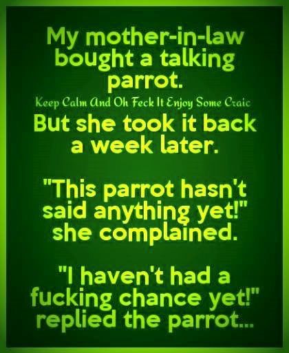 My mother in LAW bought a talking partot Mother In Law Memes, Companionship Quotes, Funny Irish Jokes, Tom Funny, Grandfather Quotes, Animal Muppet, Irish Jokes, Irish Funny, Clean Jokes