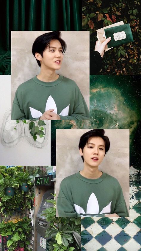 Green Nature Aesthetic Wallpaper, Luhan Wallpaper, Green Nature Aesthetic, Nature Aesthetic Wallpaper, Luhan Exo, Sehun And Luhan, Exo 12, Exo Album, Exo Luhan