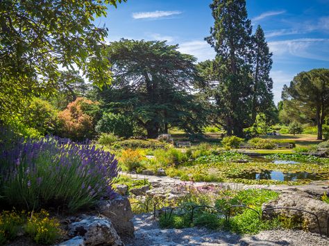 Cambridge Botanical Gardens, Canterbury Cathedral, Plant Science, Garden Path, Rooftop Garden, Ancient City, Tower Of London, Botanic Garden, Westminster Abbey