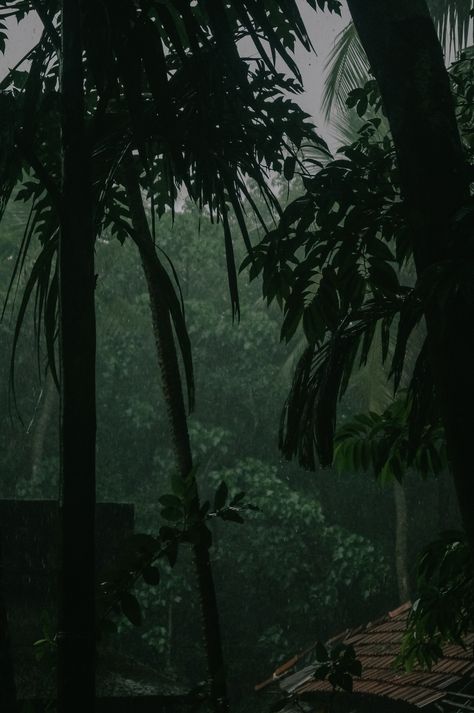 Rain In Kerala Photography, Rain Kerala Photography, India Rain Aesthetic, Kerala Instagram Stories, Kerala Nature Images, Apex Aesthetic, Rain Kerala, Kerala Aesthetic, Rain Snap