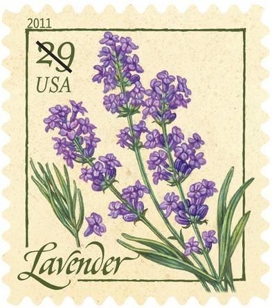 Lavender Stamp, طوابع بريد, Lavender Herb, طابع بريدي, Forever Stamps, Postage Stamp Art, Vintage Postage, Post Stamp, Flower Stamp