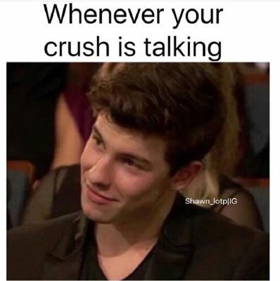 Crush | What does Shawn Mendes think of you? - Quiz Funny Crush Memes, Shawn Mendes Memes, Crush Humor, Crush Memes, Relatable Crush Posts, Laugh Out Loud, Memes Humor, Top Funny, Komik Internet Fenomenleri