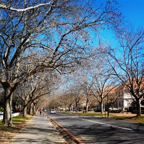 Winter South Africa, Stellenbosch University, University Of South Africa, Stellenbosch South Africa, Uni Life, Present Time, Home Again, Action Plan, Near Future