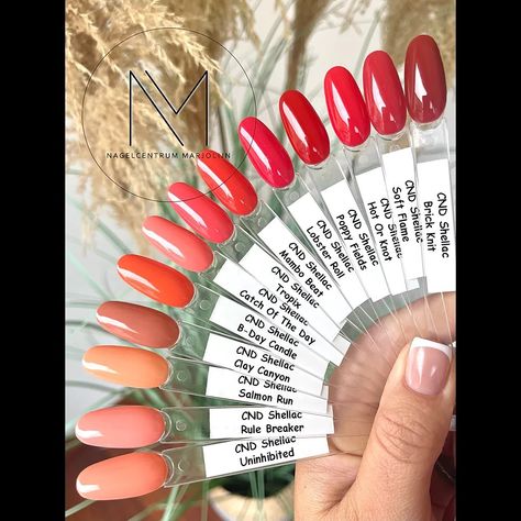 Cnd Poppy Fields, Cnd Lobster Roll, Red Shellac Nails, Cnd Shellac Colors, Shellac Nail Colors, Shellac Nail Polish, Cnd Shellac Nails, Shellac Colors, Nail Colours