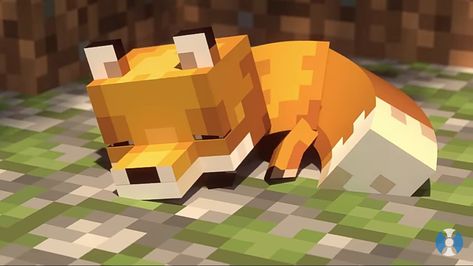 Baby Minecraft Fox by Black Plasma Studios (YouTube) Black Plasma Studios, Fox Wallpapers, Minecraft Backgrounds, Minecraft Animals, Fox Background, Minecraft Baby, Cute Minecraft, Minecraft Logo, Minecraft Animation