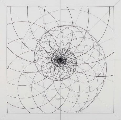 Venezuelan artist Rafael Araujo creates meticulously detailed drawings of the Fibonacci spiral in nature–now, you can color along. Spiral Mandala Tattoo, Fibonacci Spiral Nature, Logarithmic Spiral, Geometry In Nature, Tattoo Nature, Sacred Geometry Patterns, Sacred Geometry Tattoo, Geometry Tattoo, Fibonacci Spiral