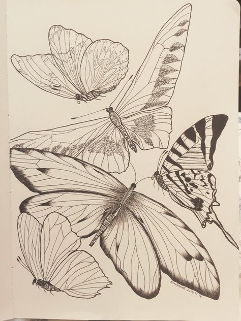 Butterflys Flying Drawings, Flying Moth Drawing, Butterflies Flying Drawing, Butter Flying Drawing, Flying Butterfly Drawing, Butterfly Flying Tattoo, Butterfly Hatching, Realistic Butterfly Tattoo, Flight Art