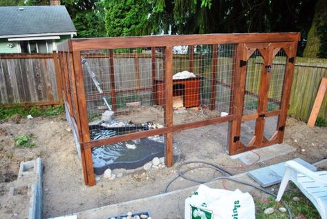 Ever Thought of A Pond On Duck Coop? Backyard Duck Pond, Duck Enclosure Ideas, Duck Pond Ideas, Duck House Diy, Duck Enclosure, Duck Pens, Container Pond, Backyard Ducks, Enclosure Ideas